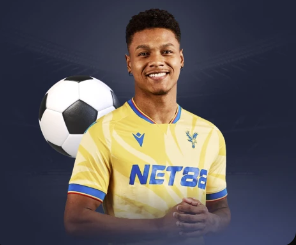 金刚app官方下载